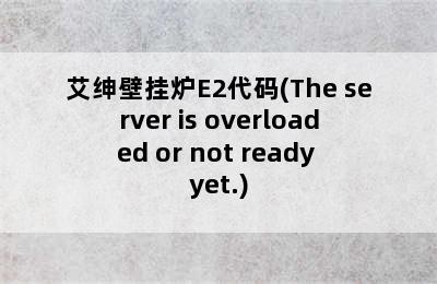 艾绅壁挂炉E2代码(The server is overloaded or not ready yet.)